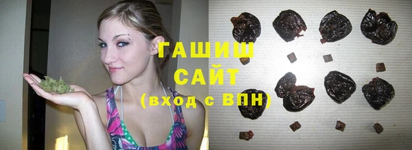дурь Инта
