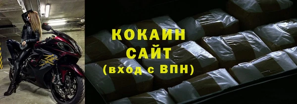 дурь Инта