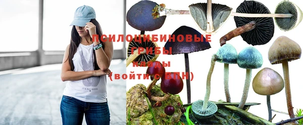дурь Инта