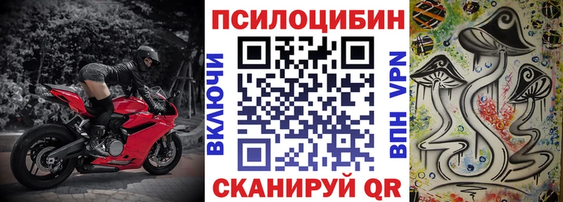 Псилоцибиновые грибы мицелий  Купить где  Краснозаводск 